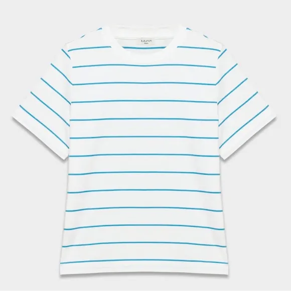 Aritzia Cotton Jersey Tee